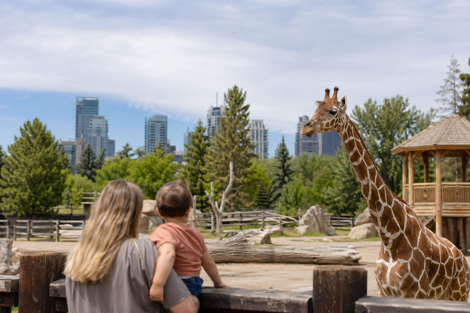 Calgary Zoo 2026: Hours, Parking, Exhibits & Visitor Guide