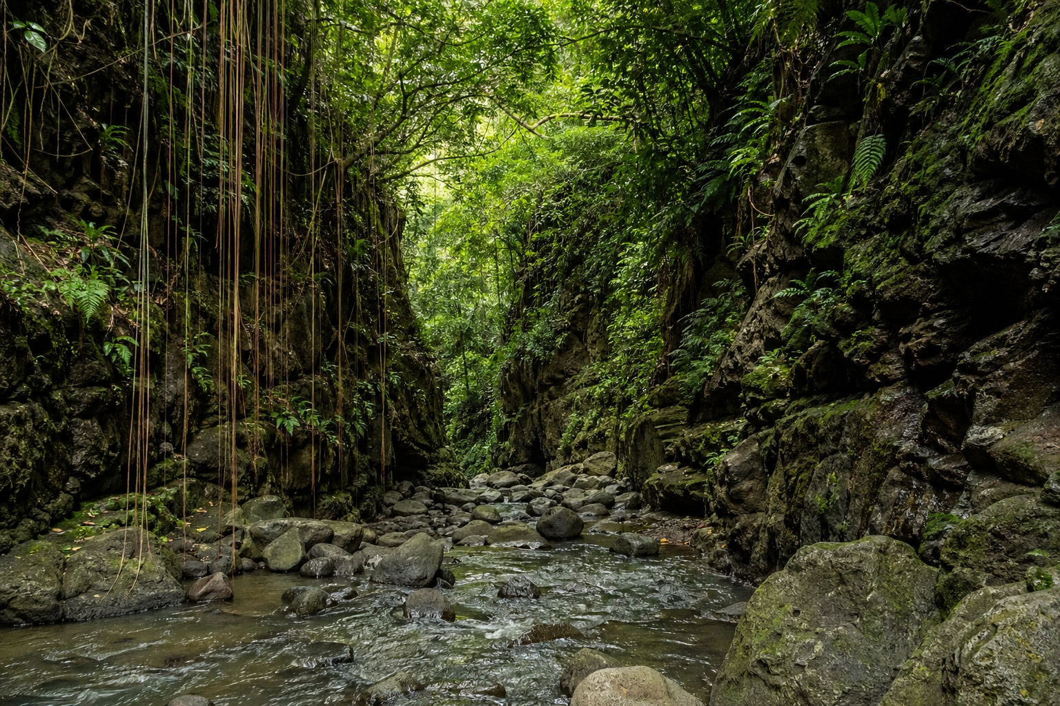 Gorges de la Falaise: Martinique's River Walk That Nobody Talks About