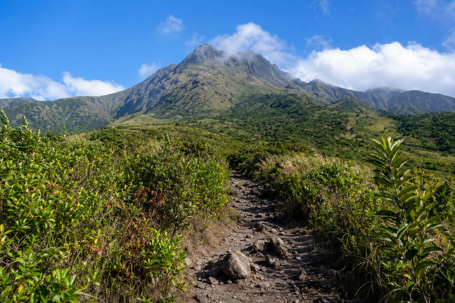 Hiking Mount Pelée: Complete Tourist Guide to Martinique's UNESCO Volcano