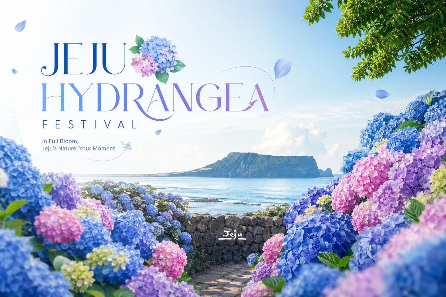 Jeju Hydrangea Festival 2026