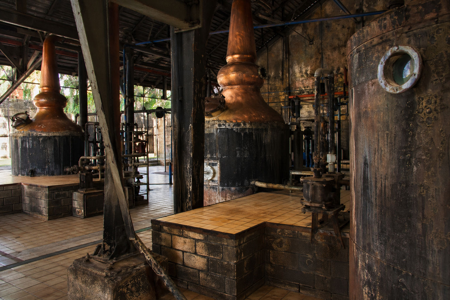 Martinique Rum Distillery Tour Guide: Which Distilleries Are Worth It for Tourists