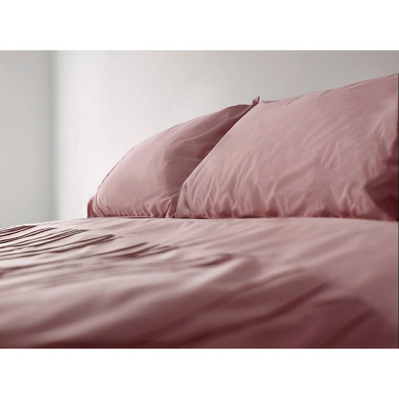 Elements 100% Cotton Sheet Set - Queen