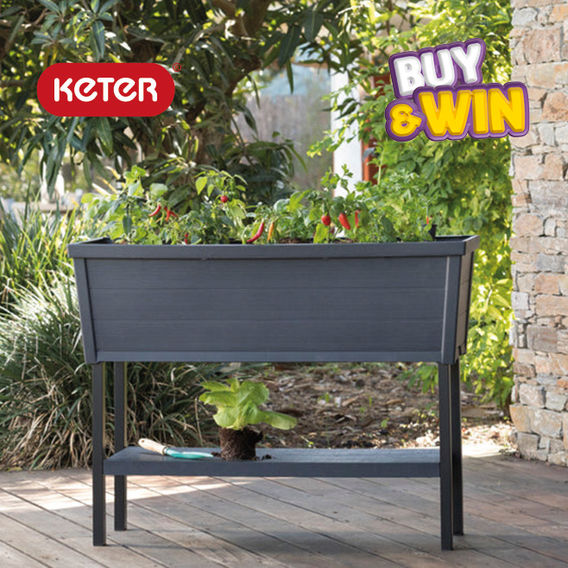 Keter Alfresco Garden Bed