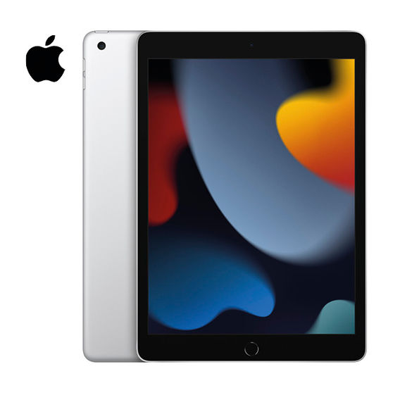 Apple iPad WiFi Bundle - 256GB Silver