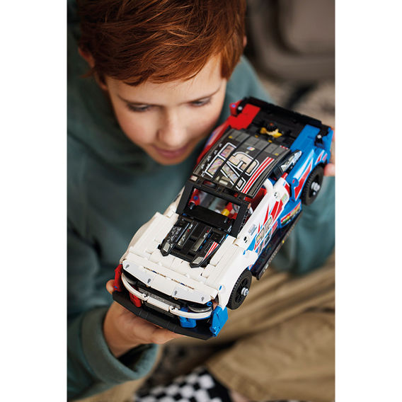 LEGO® Technic™ Car Bundle