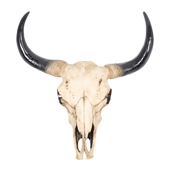 Cow Skull Wall Hanging