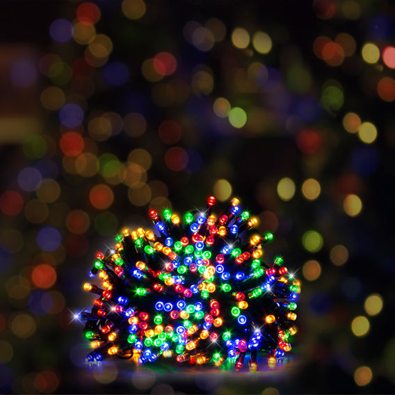 Festive Magic LED Lights Bundle