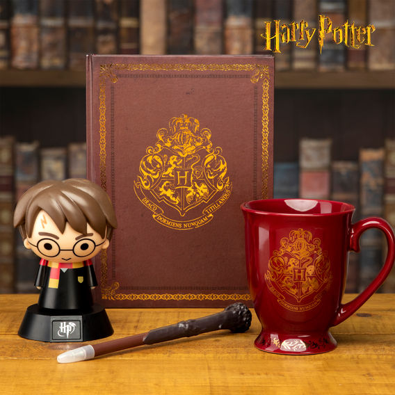 Harry Potter Gift Bundle