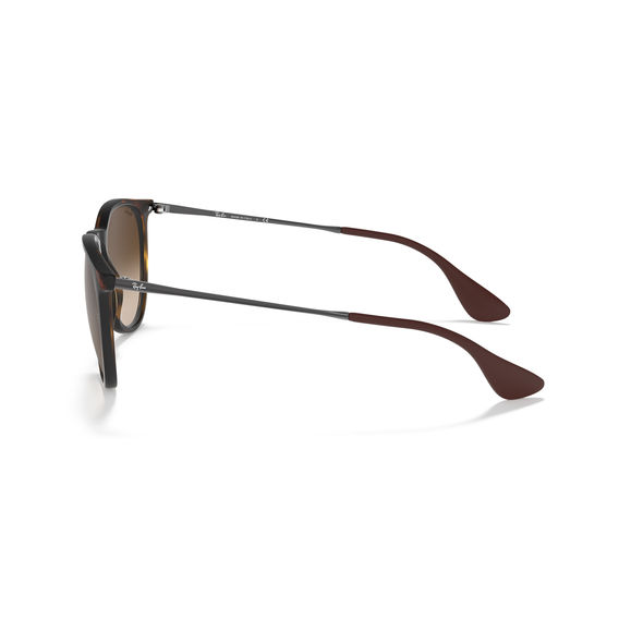 RayBan Havana Sunglasses