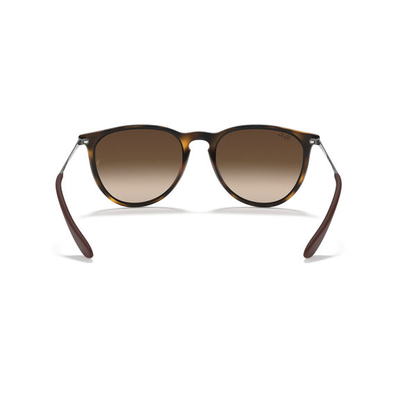 RayBan Havana Sunglasses