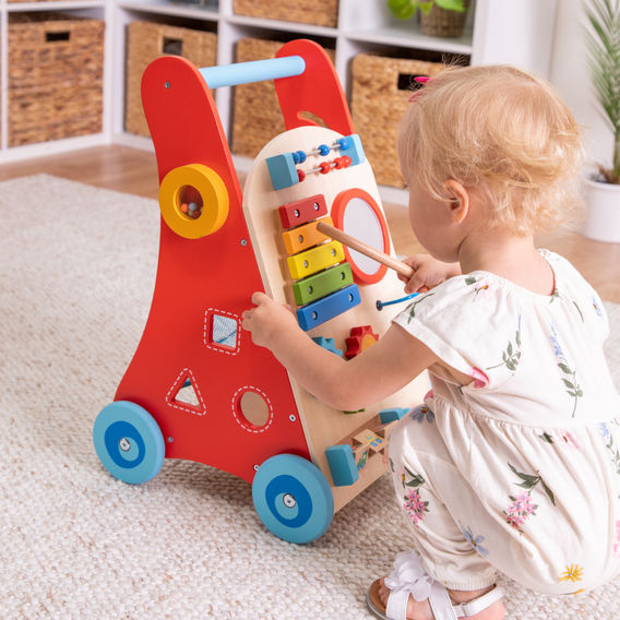 Busy Baby Deluxe Walker