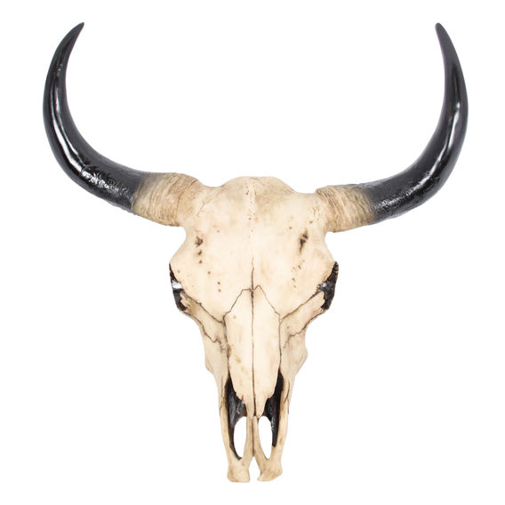 Cow Skull Wall Hanging