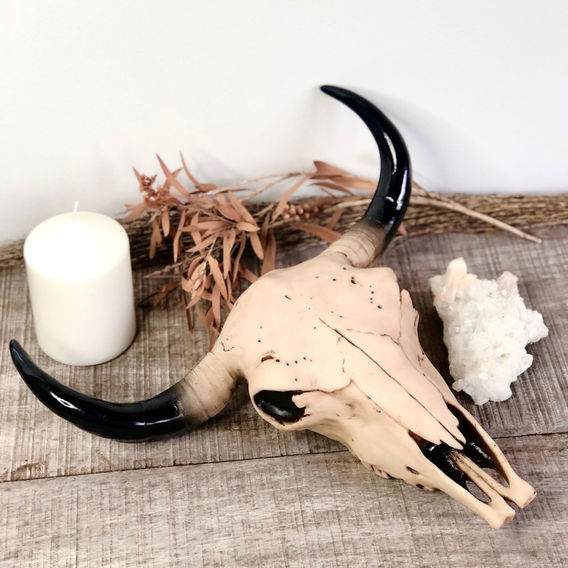 Cow Skull Wall Hanging