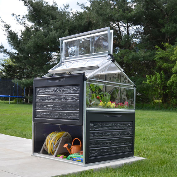 Maze Plant Inn - Mini Greenhouse