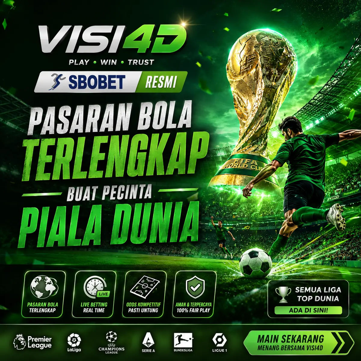 VISI4D