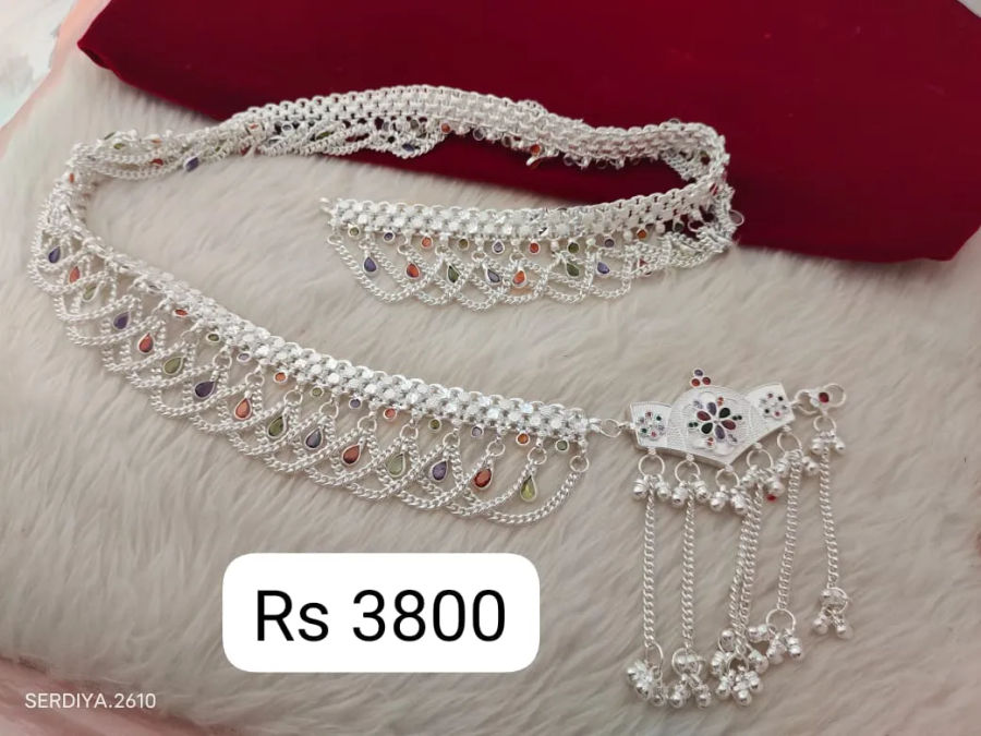 payal-223 1
