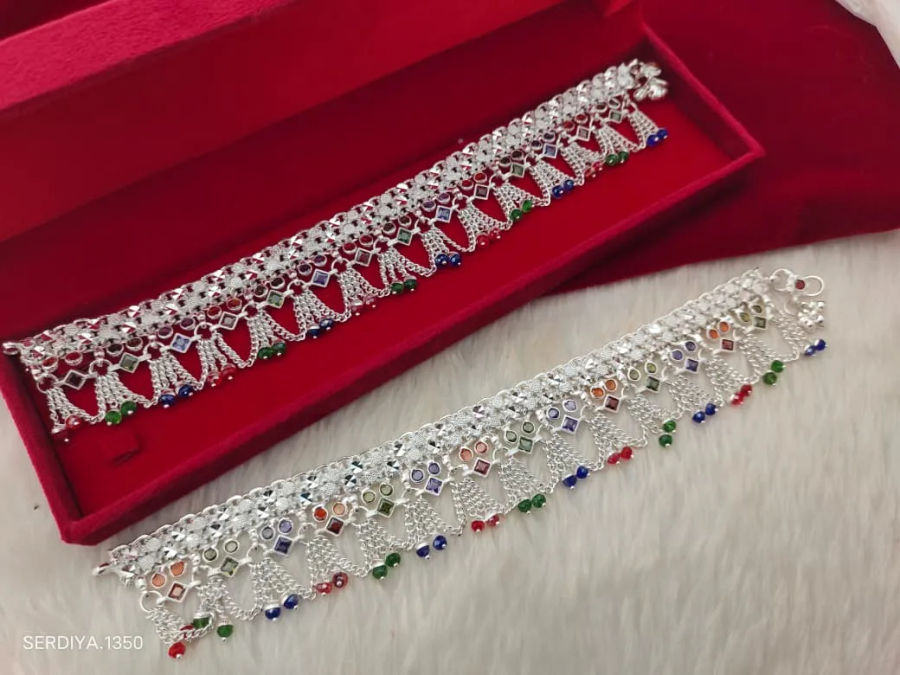 payal-4 1