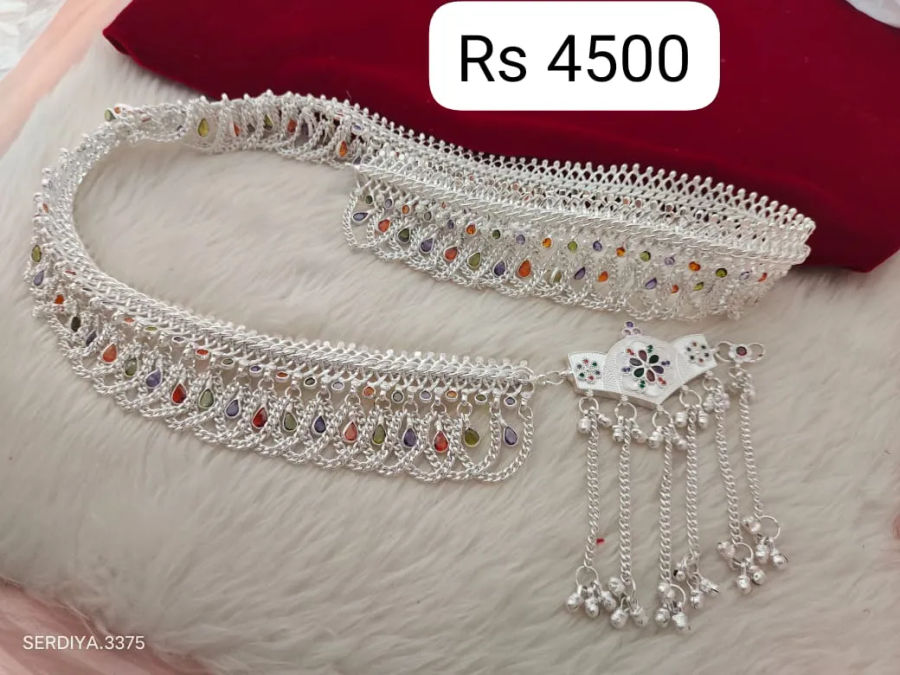 payal-896 1