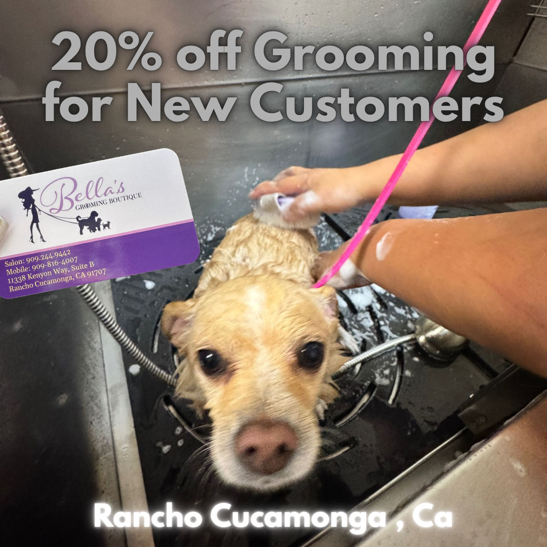 20% OFF OF Grooming for New Customers