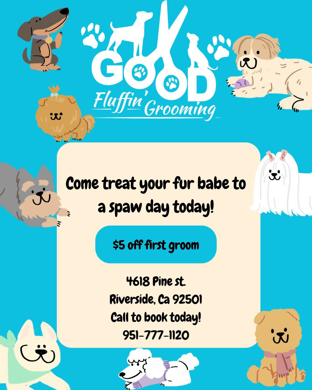 $5 Off For new clients