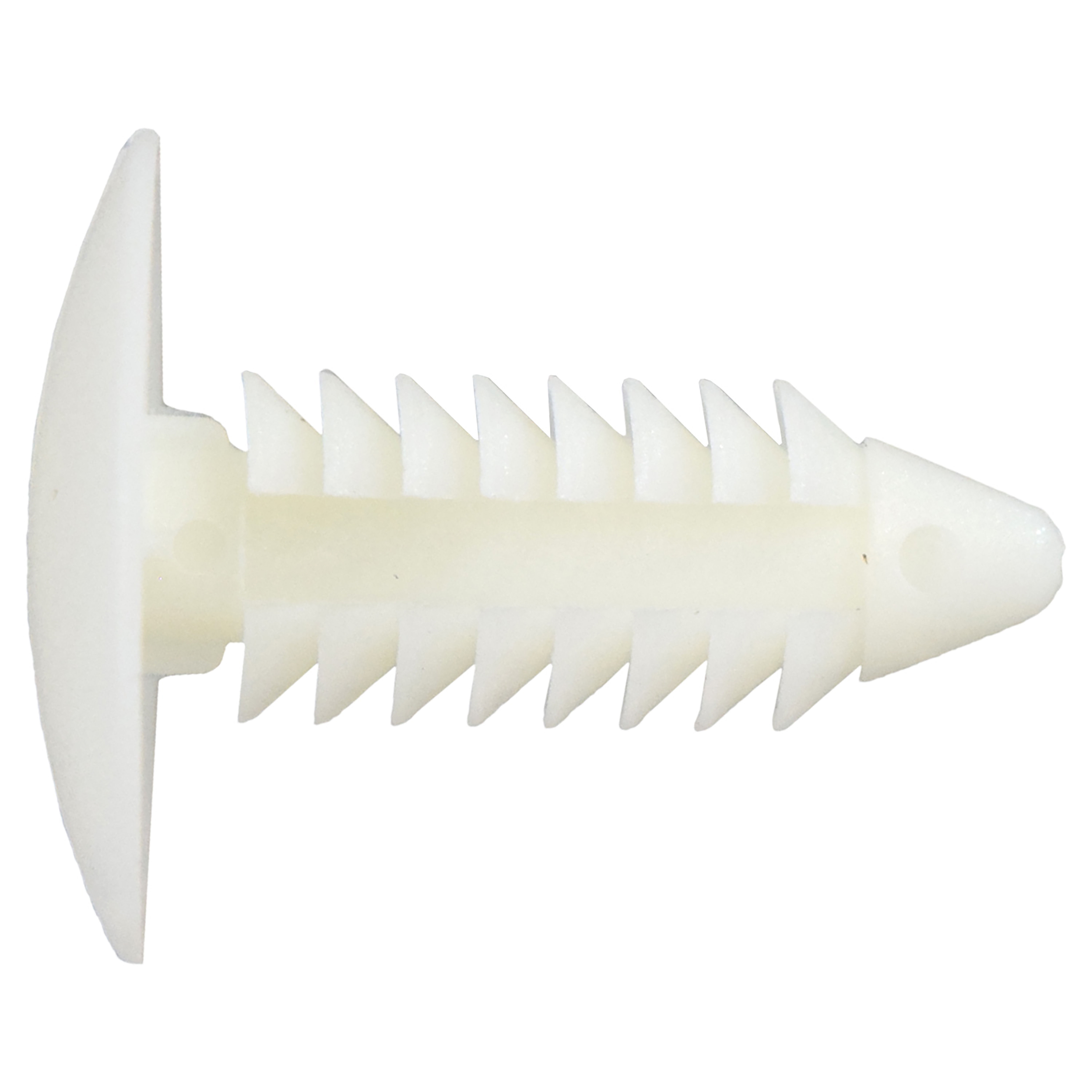Retenedores Universal 1950-2022 Blanco 6.4 1/4 22.2 7/8 20.8 13/16 17.8 11/16 Sujeauto