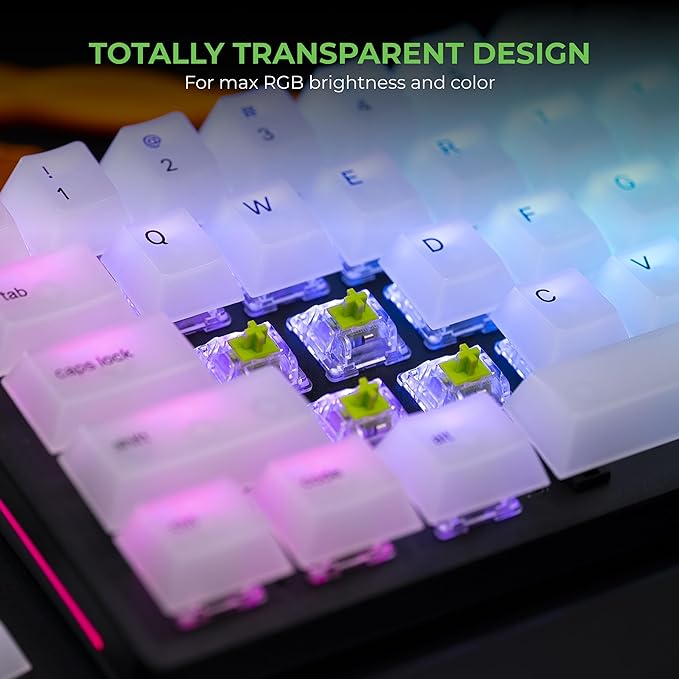 Glorious Gaming 36x Raptor Mechanical Keyboard Switches (Clicky) - Fits GMMK 2 / PRO Keyboards & GMMK Numpads, Tactile Bump, Transparent Design for Max RGB, 55g Actuation, 5-Pin Mount - Lubed