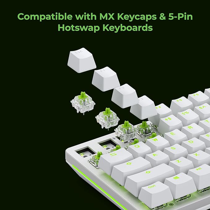 Glorious Gaming 36x Raptor Mechanical Keyboard Switches (Clicky) - Fits GMMK 2 / PRO Keyboards & GMMK Numpads, Tactile Bump, Transparent Design for Max RGB, 55g Actuation, 5-Pin Mount - Lubed