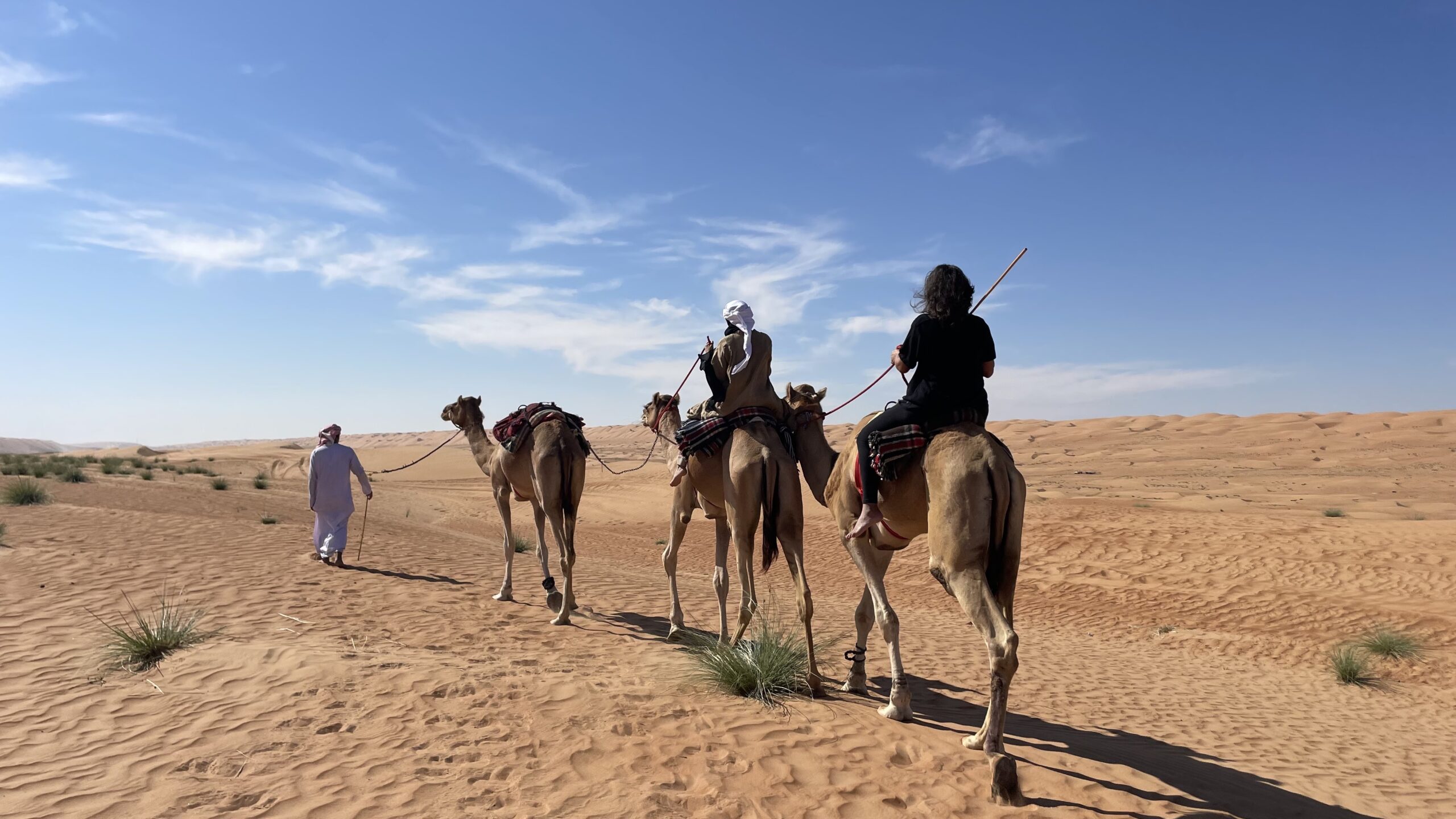 Camel Ride – Scenic Journey (30 min)