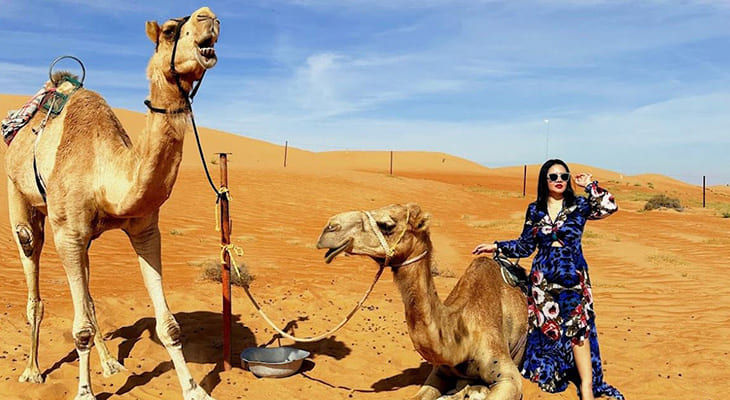 Camel Ride – Discovery (15 min)