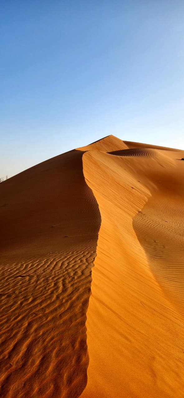 Dunes in the desert tour