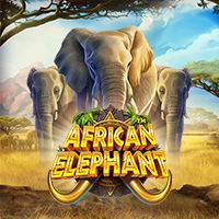 $African Elephant