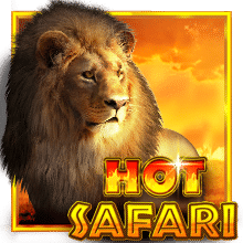 $Hot Safari