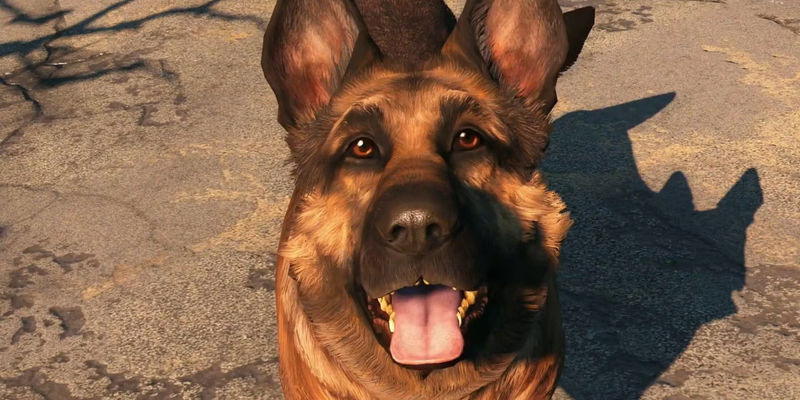 Strange Bug in Fallout 4 Allows Players to Communicate with Dogs