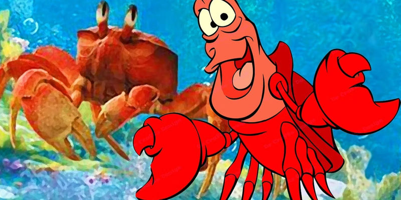 The Little Mermaid's Sebastian: Crab or Lobster?