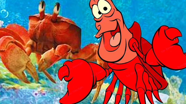 The Little Mermaid's Sebastian: Crab or Lobster?