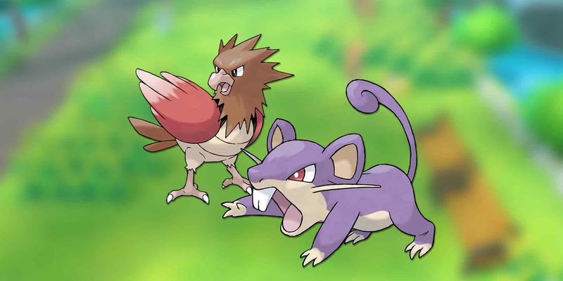 Talented Pokemon Fan Completes Rattata and Spearow Evolutionary Lines with Impressive Designs