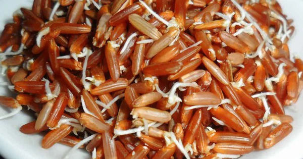 Những Thực Phẩm Mọc Mầm: Sự Thay Đổi Đột Phá Trong Dinh Dưỡng
