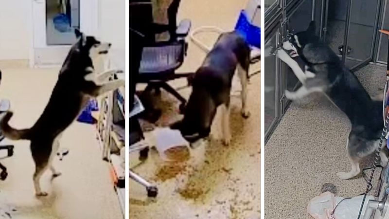 Exploring the Intricacies of Modern Infrastructure