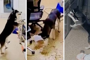 Exploring the Intricacies of Modern Infrastructure