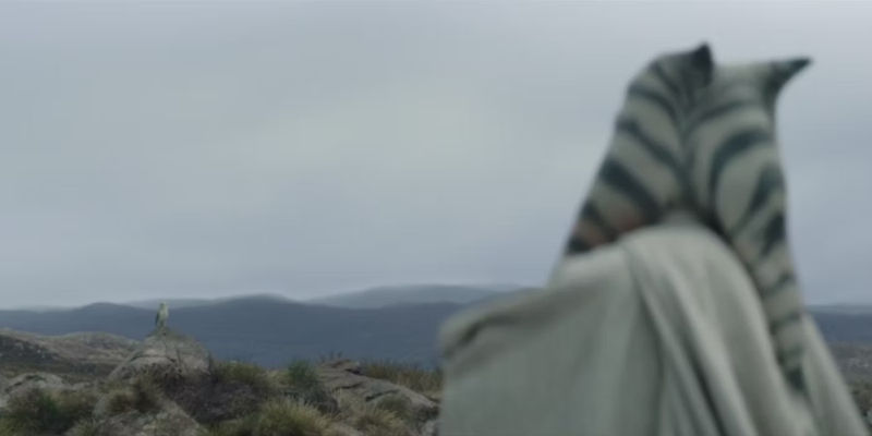 Ahsoka looking at Morai on Peridea in Ahsoka episode 8.