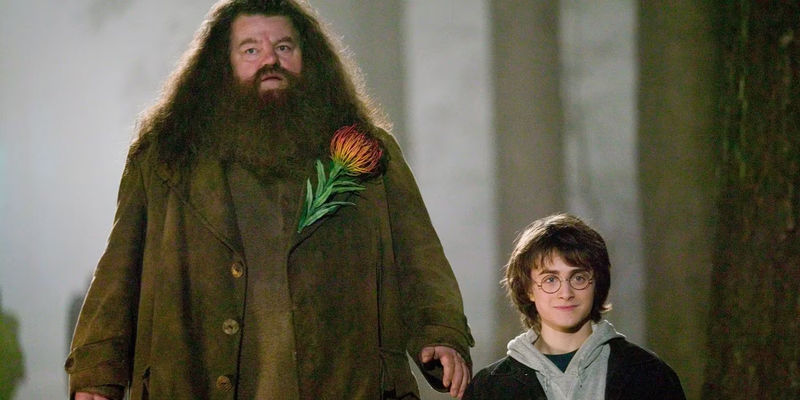 Hagrid and Harry Potter next to each other