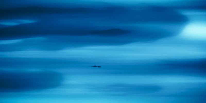 Purrgils in Mandalorian Season 3