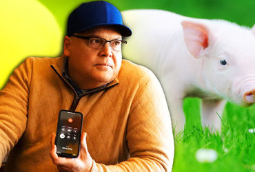 The Unforgettable Tale of Romeo: A Pig's Journey in Dumb Money