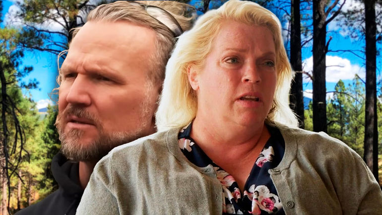 Sister Wives' Janelle Brown: Embracing a New Chapter