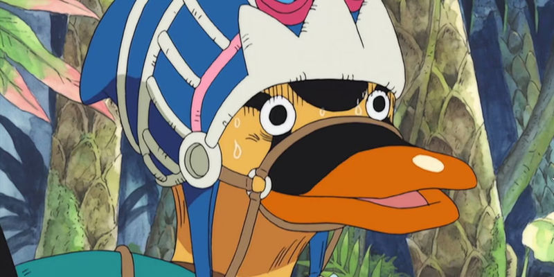 Karoo in the One Piece anime