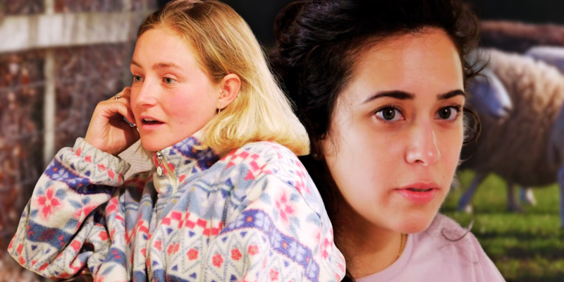 The Unseen Journey of Statler Riley and Dempsey Wilkinson