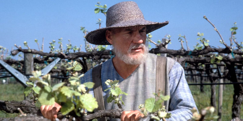 Star Trek TNG Picard All Good Things