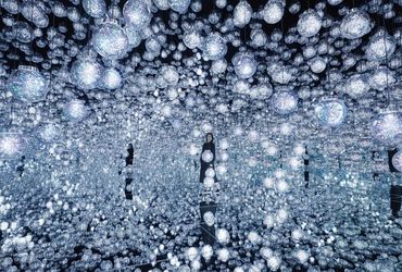 Exploring the Boundless World of teamLab's Immersive Art