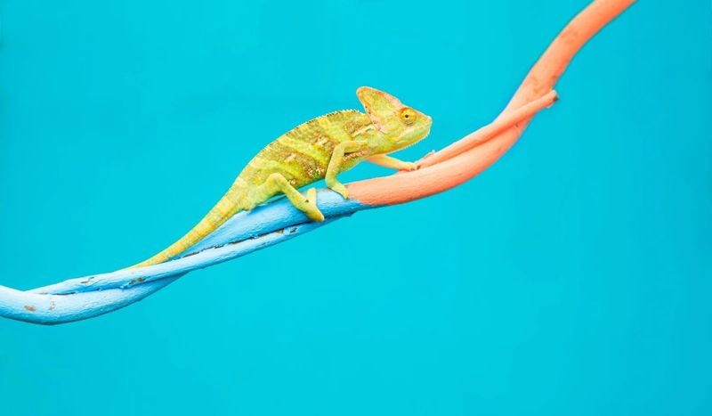 Breaking the Glass Ceiling: The Ongoing Struggle for Gender Equality in the Workplace