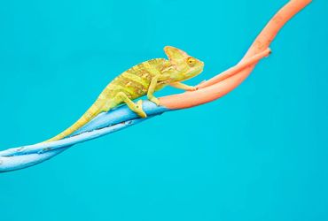 Breaking the Glass Ceiling: The Ongoing Struggle for Gender Equality in the Workplace